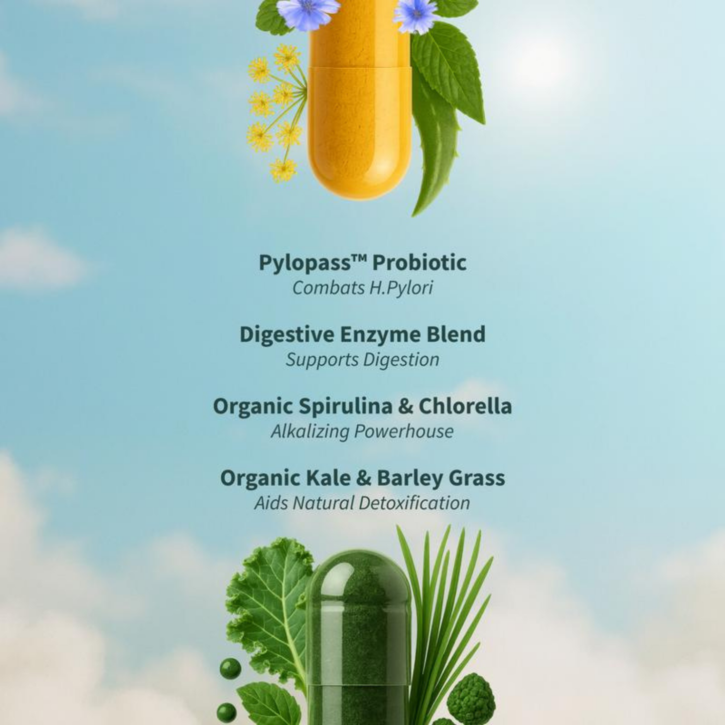 Digest & Detox Duo